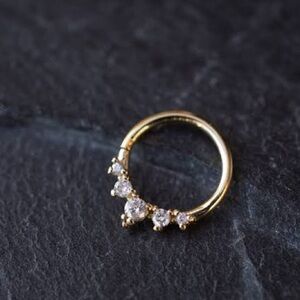 Tawapa 5/16” 18g CZ Continuous Ring